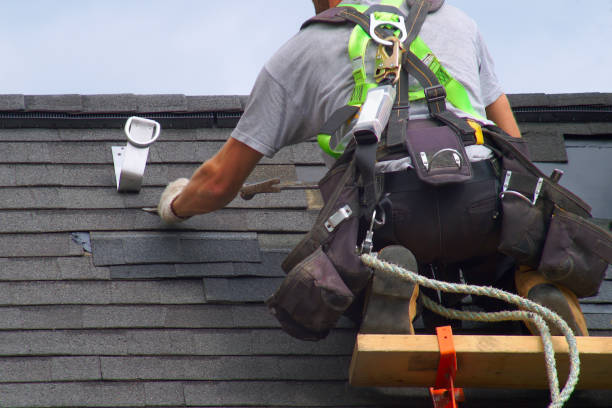 Roof Gutter Cleaning in Lincoln, MO